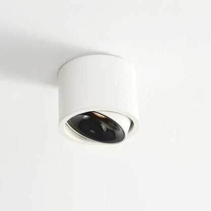 Surface Mount Spot Light Adjustable Swivel Head Integrated LED