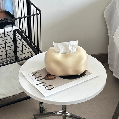 Tissue Box Holder Modern Abstract Smooth Finish