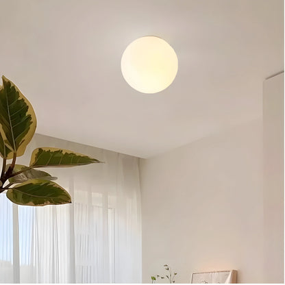 Wall Lamp Frosted Glass Globe Metal Base