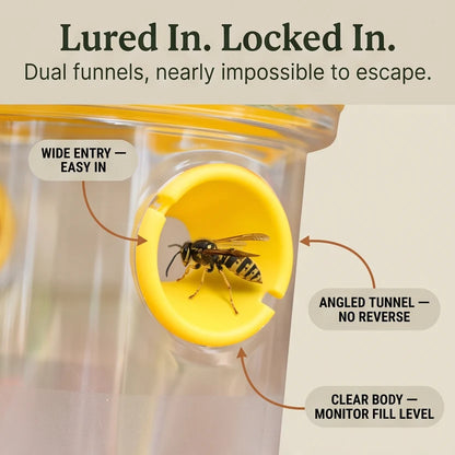 Wasp Trap Solar-Powered LED Hanging Set of 2