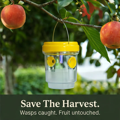 Wasp Trap Solar-Powered LED Hanging Set of 2