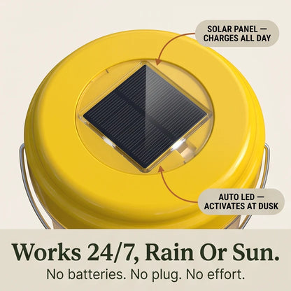 Wasp Trap Solar-Powered LED Hanging Set of 2